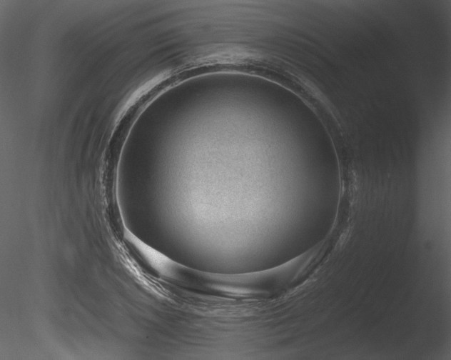 X0000085811026200703161150