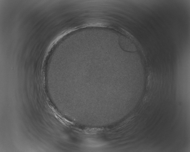 X0000085811027200703161150