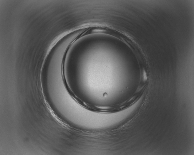 X0000085811030200703161150