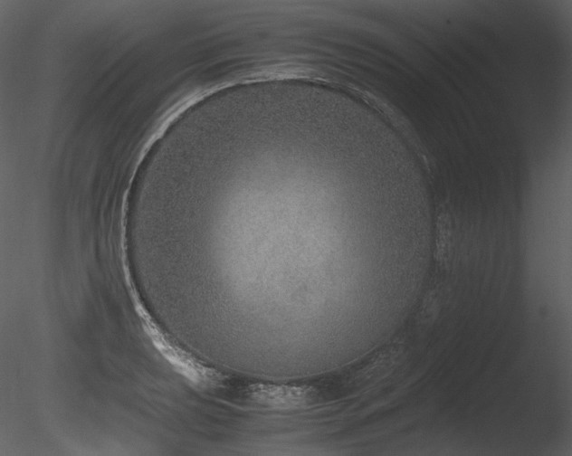 X0000085811039200703161150
