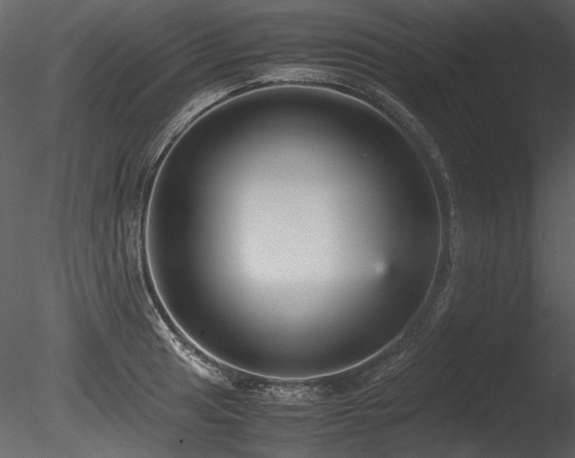 X0000085811041200703161150