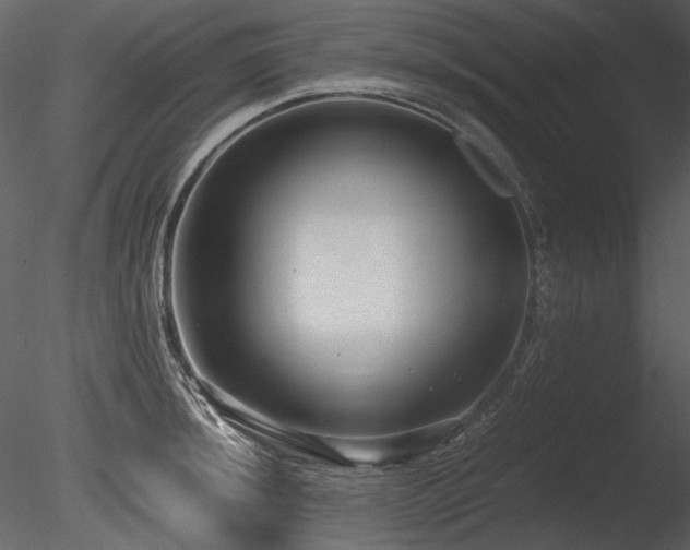 X0000085811044200703161150