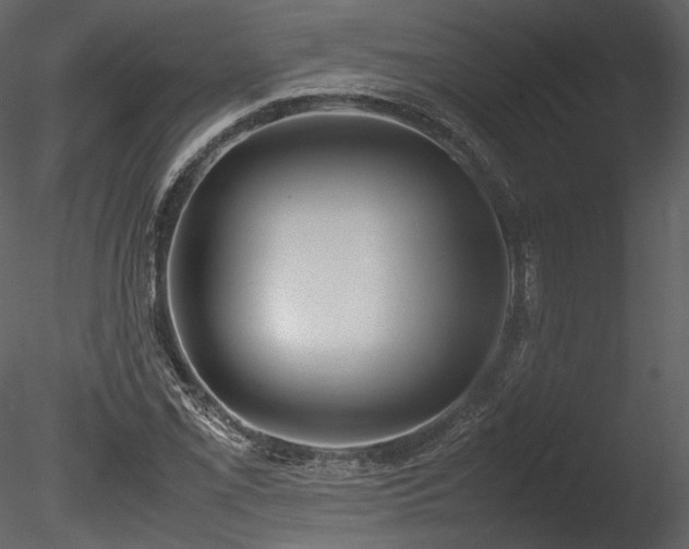 X0000085811069200703161149