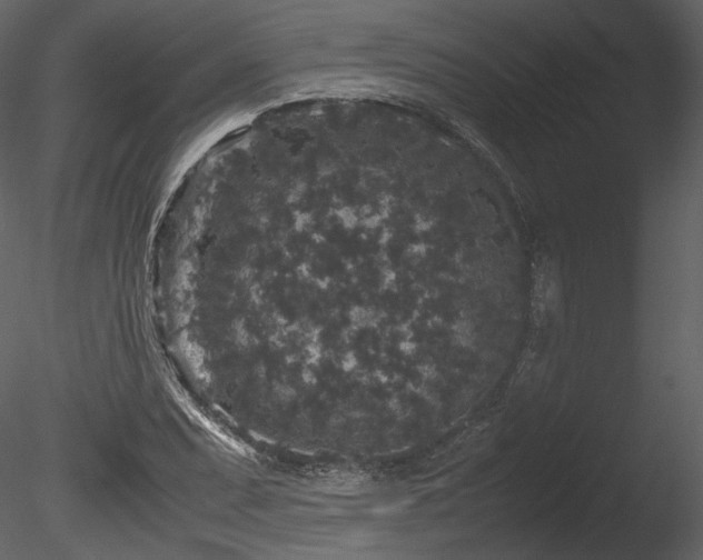 X0000085811071200703161149