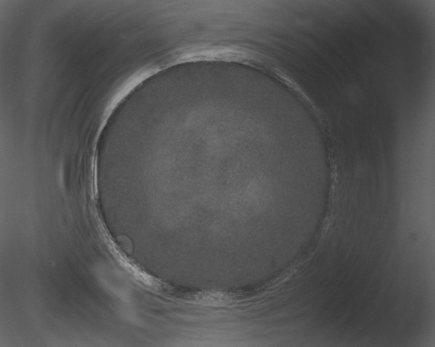 X0000085811079200703161149