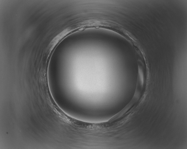 X0000085811089200703161149