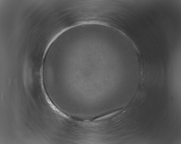 X0000085811100200703161149