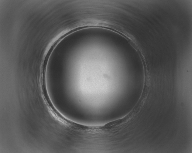 X0000085811136200703161148
