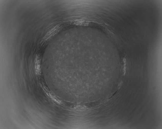 X0000085811154200703161148