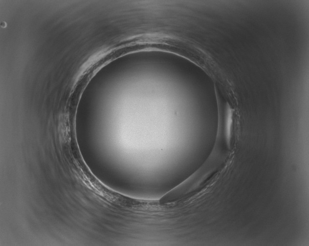 X0000085811164200703161147