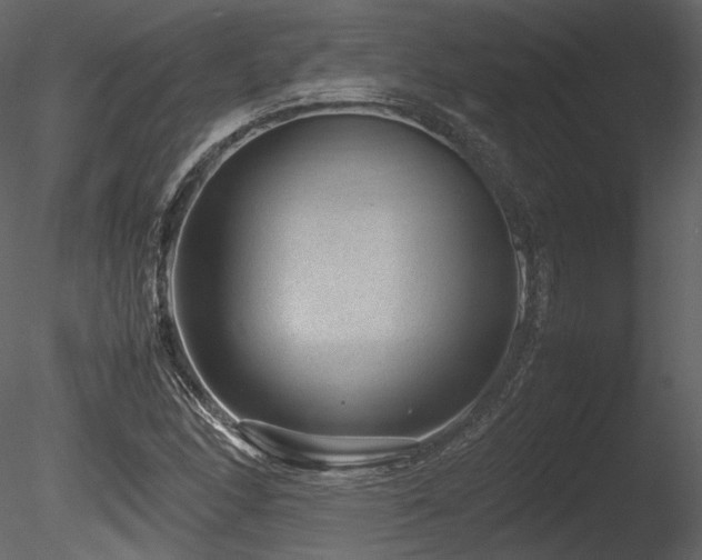 X0000085811166200703161147