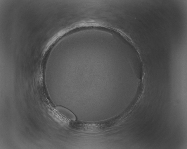 X0000085811167200703161147