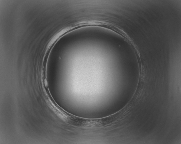 X0000085811187200703161147