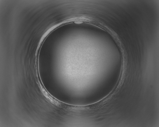 X0000085811200200703161147