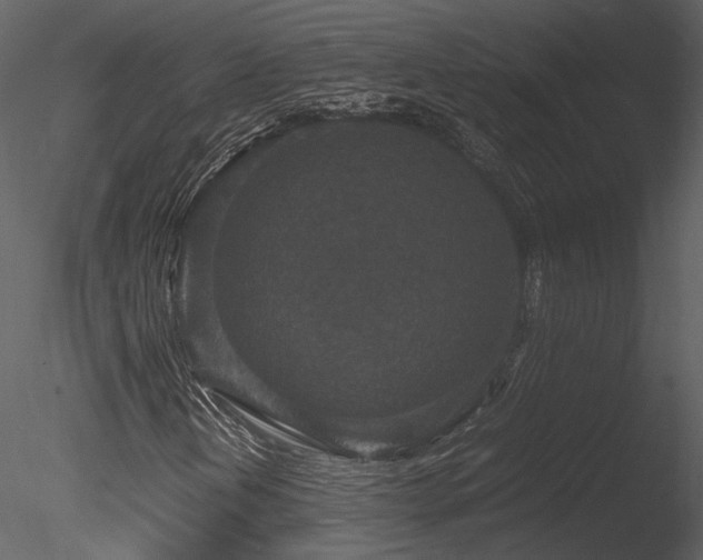 X0000085811202200703161146