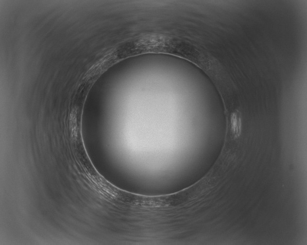 X0000085811203200703161146