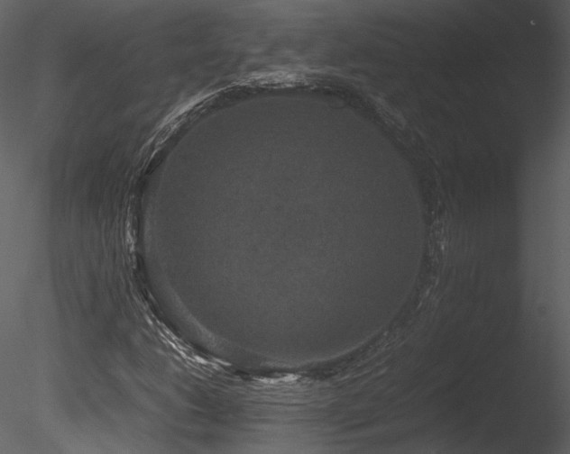 X0000085811206200703161146