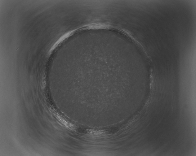 X0000085811213200703161146