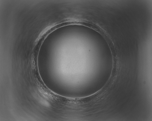 X0000085811215200703161146