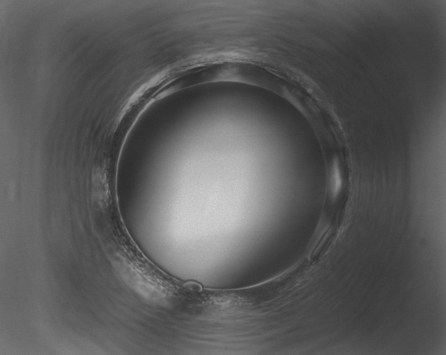 X0000085811218200703161146