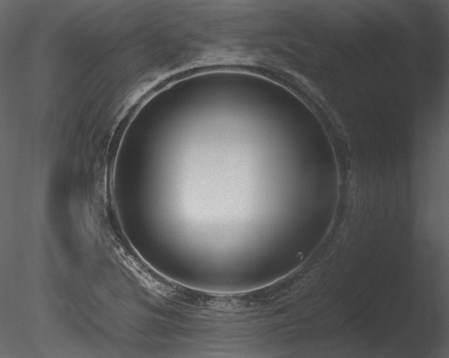 X0000085811220200703161146