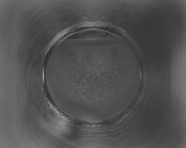 X0000085811221200703161146