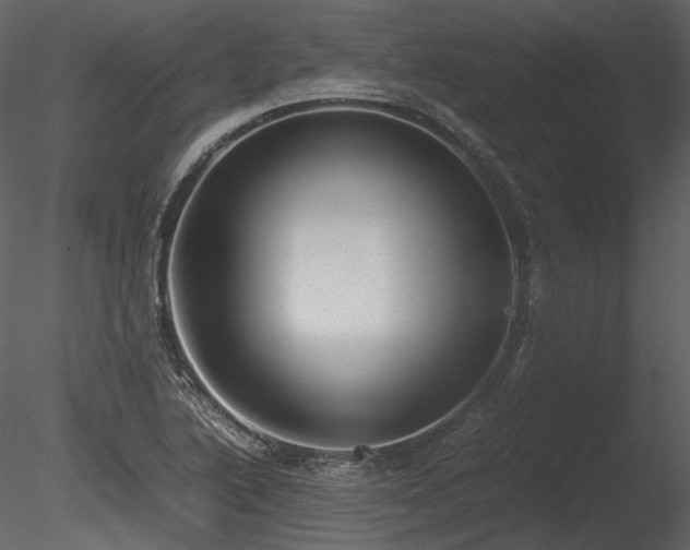X0000085811222200703161146