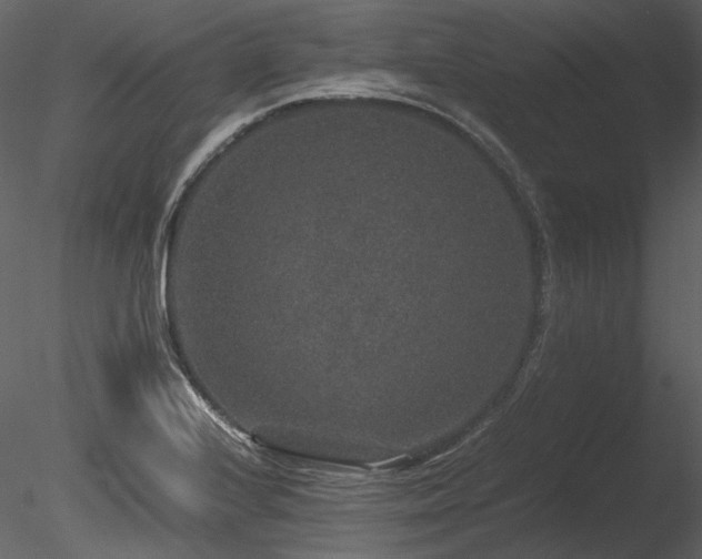 X0000085811224200703161146