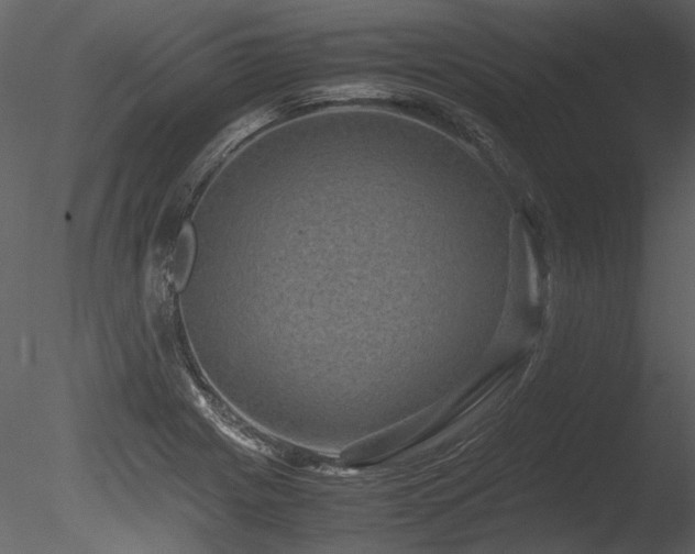 X0000085811225200703161146