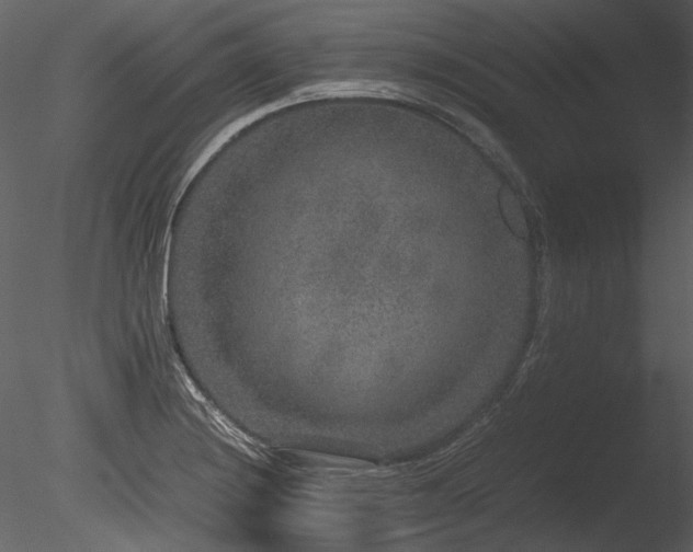 X0000085811228200703161146