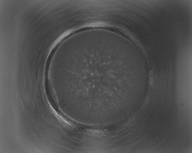 X0000085811229200703161146