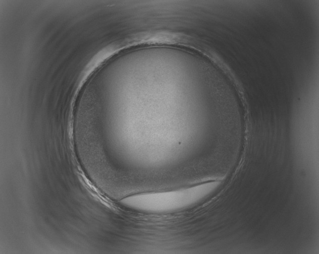 X0000085811232200703161147
