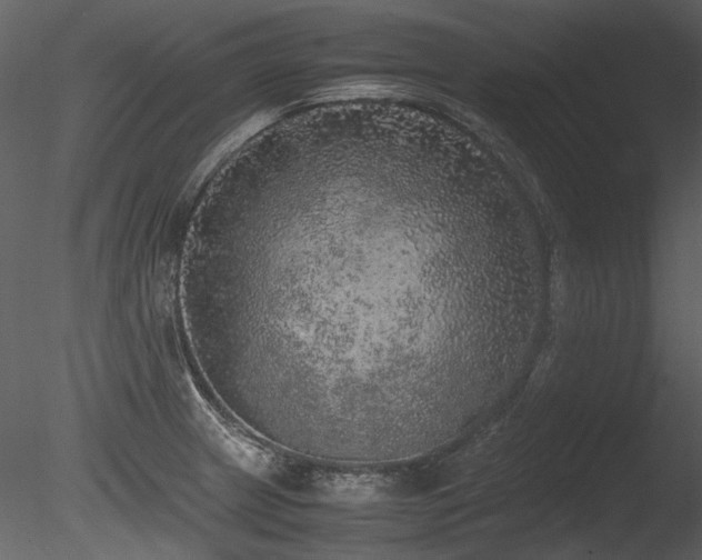 X0000085811233200703161147