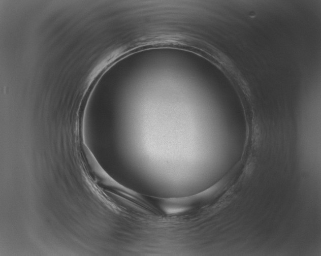 X0000085811234200703161147