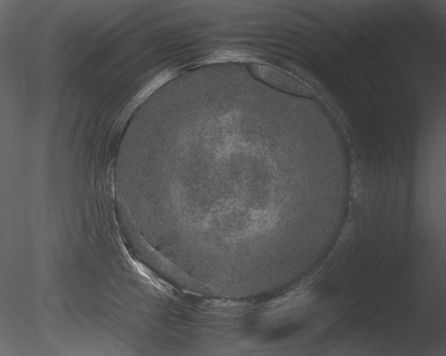 X0000085811241200703161147