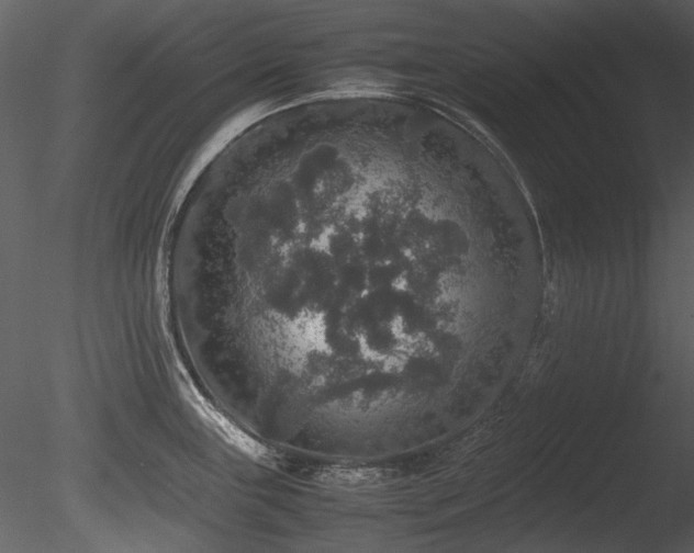 X0000085811243200703161147