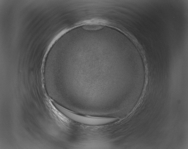 X0000085811248200703161147
