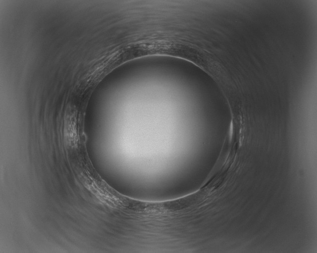 X0000085811250200703161146