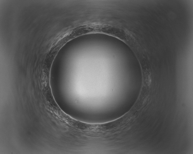 X0000085811253200703161146