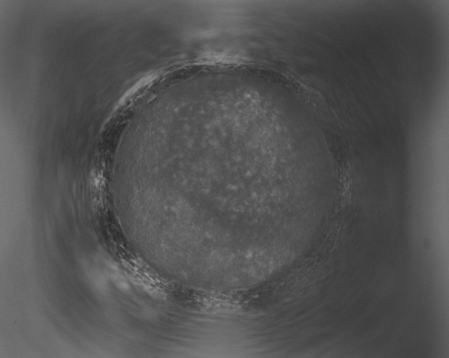 X0000085811254200703161146