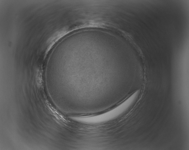 X0000085811260200703161146