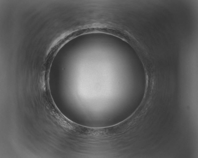 X0000085811262200703161146