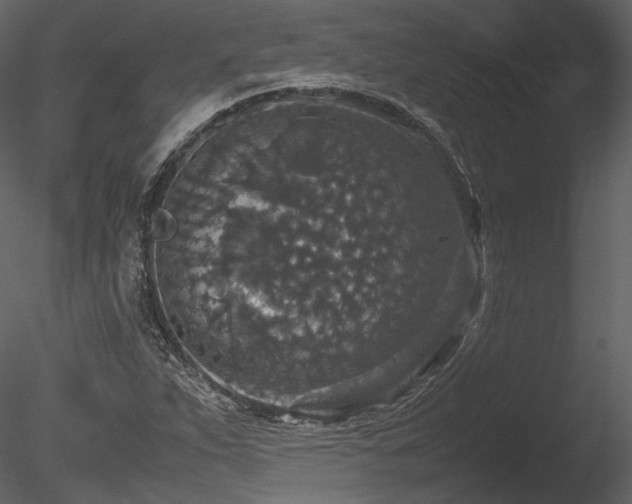 X0000085811263200703161146