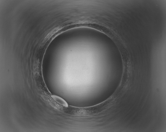 X0000085811265200703161146