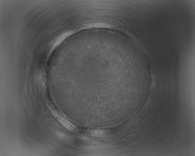 X0000085811266200703161146
