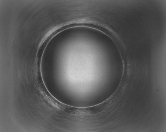 X0000085811270200703161146