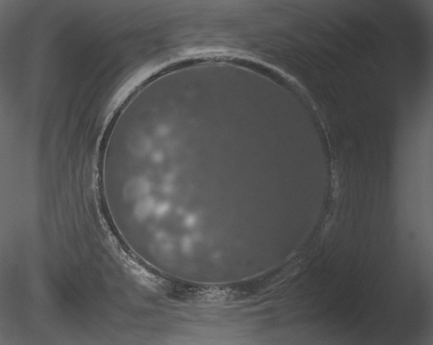 X0000085811279200703161145