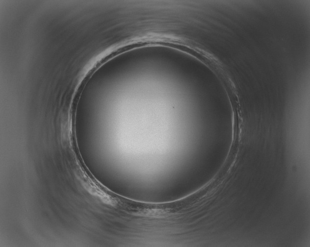 X0000085811280200703161145