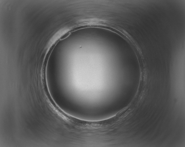 X0000085811285200703161145