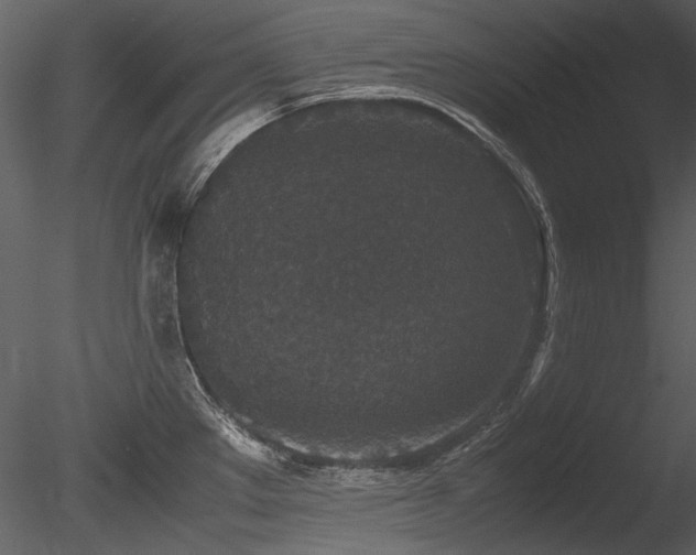 X0000085811289200703161145